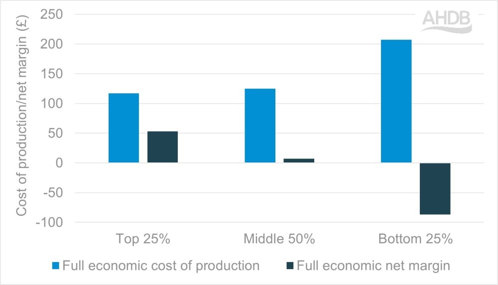 Full economic cost of production and net margins per ewe put to the ram by Farmbench users.